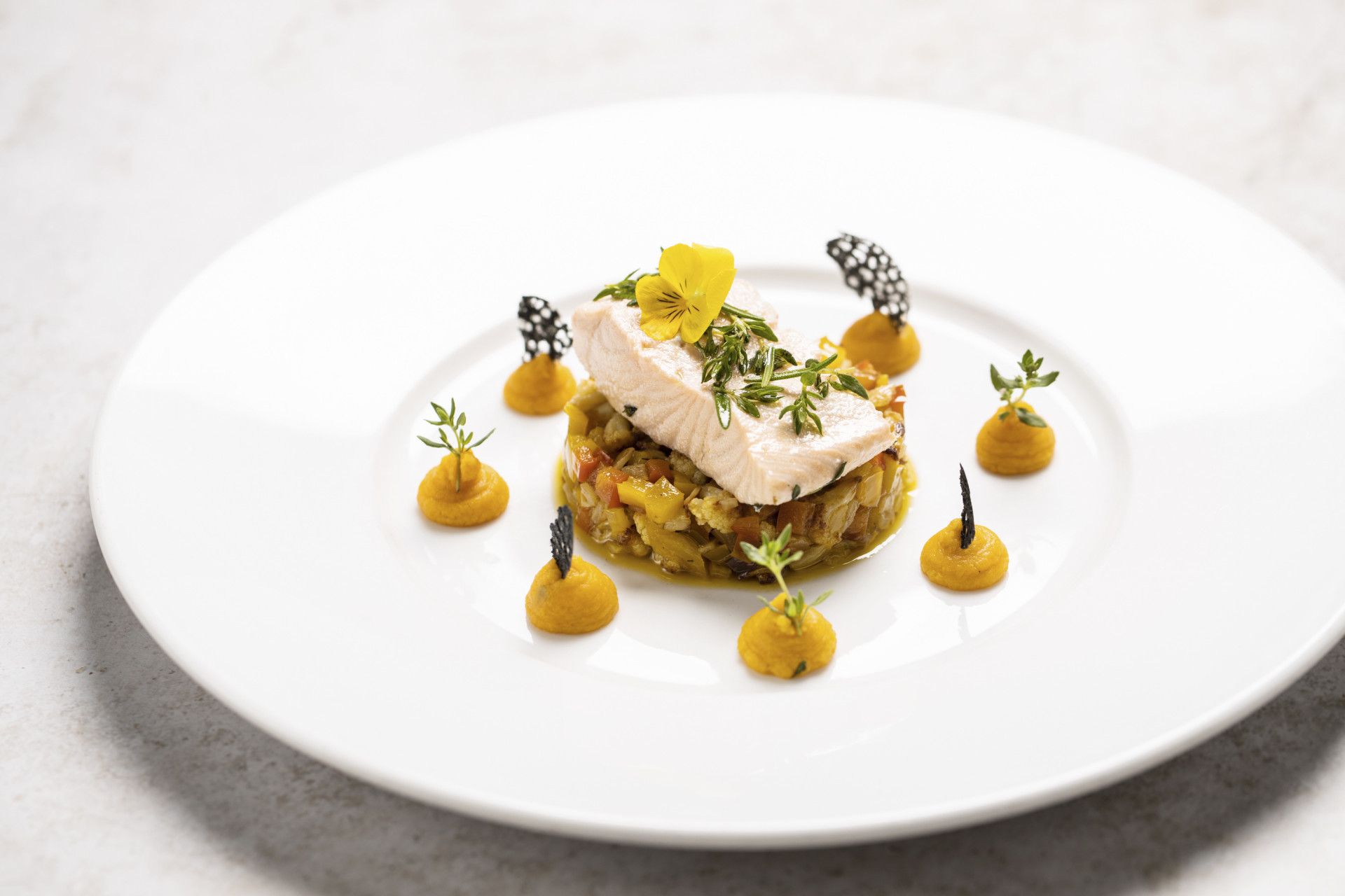 Nahaufnahme von Teller mit Fischkreation